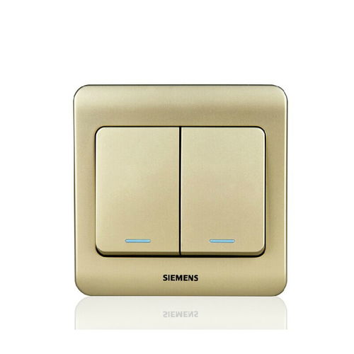 西門子遠景金棕 二位單控大蹺板開關 帶熒光指示